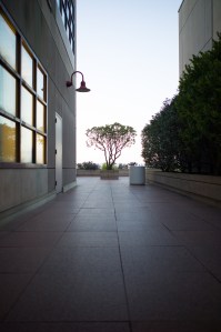 20130226-001-L1000577