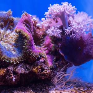 20140208-003-_T7A1105