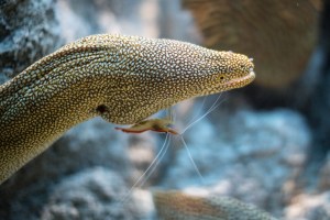 20140208-006-_T7A1139