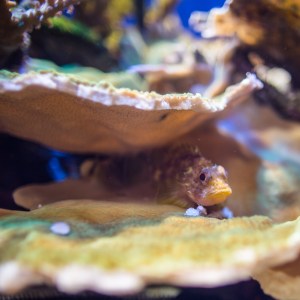 20140208-008-_T7A1156