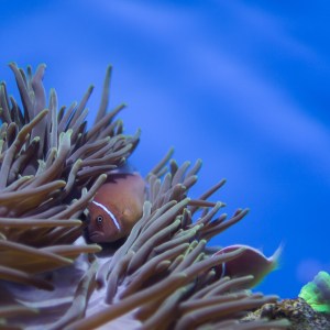 20140208-009-_T7A1186