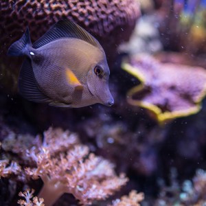 20140208-010-_T7A1213