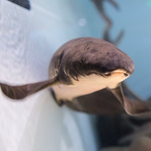 20140208-011-_T7A1235