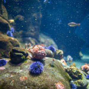 20140208-012-_T7A1238