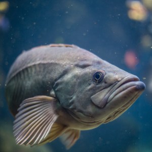 20140208-013-_T7A1265