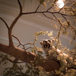 20140208-017-_T7A1312