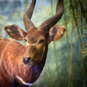 20140208-018-_T7A1322