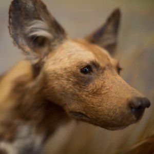 20140208-019-_T7A1323