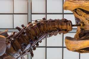 20140208-023-_T7A1398