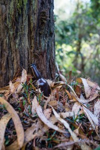 20141028-015-DSC01172