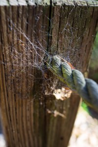 20141028-019-DSC01187