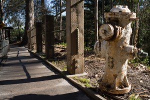 20141028-021-DSC01191