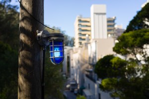 20141028-027-DSC01251