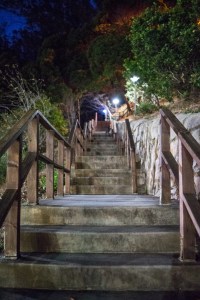 20141028-039-DSC01287