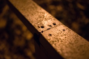 20141028-043-DSC01299