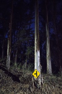 20141028-047-DSC01316