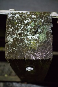 20141028-050-DSC01329