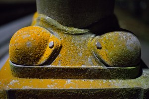 20141028-051-DSC01332