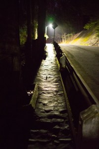 20141028-053-DSC01343