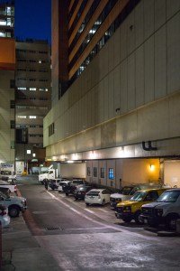 20141028-036-DSC01279